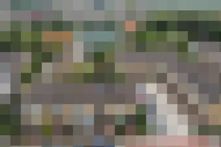 Rietgansstraat 29 Strijen thumbnail 37