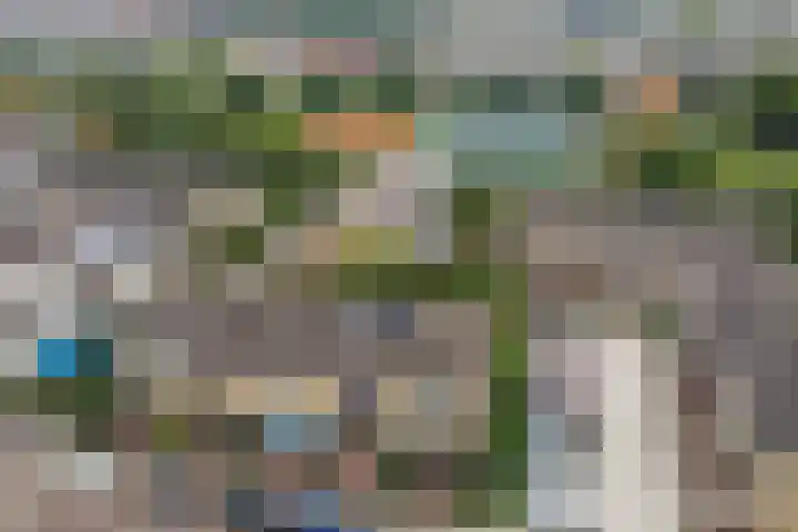 Rietgansstraat 29 Strijen thumbnail 38