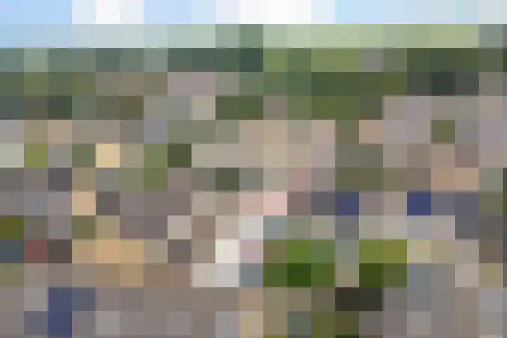 Rietgansstraat 29 Strijen thumbnail 39