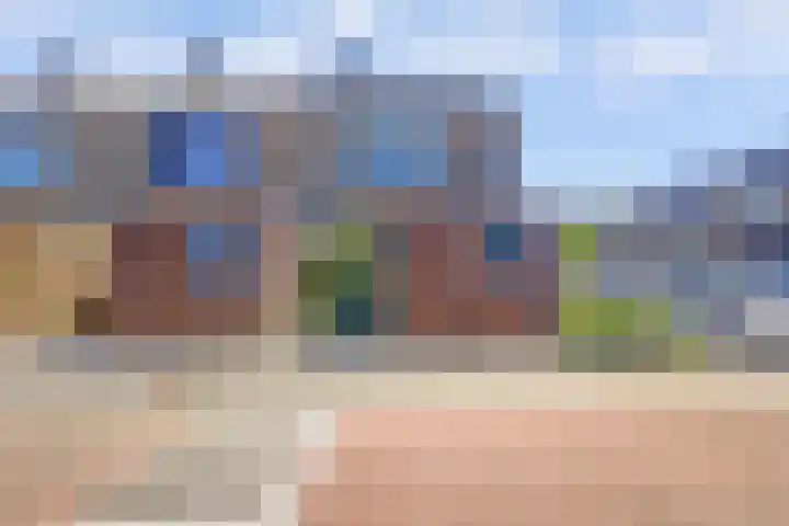 Rietgansstraat 29 Strijen thumbnail 4
