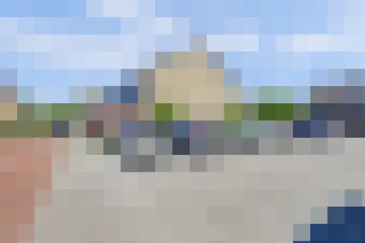 Rietgansstraat 29 Strijen thumbnail 6