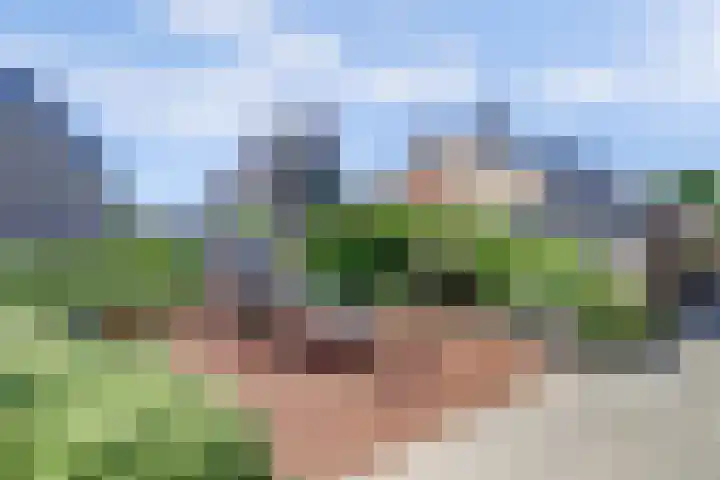 Rietgansstraat 29 Strijen thumbnail 7