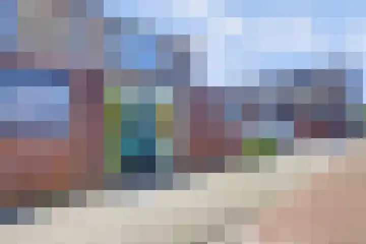 Rietgansstraat 29 Strijen thumbnail 9