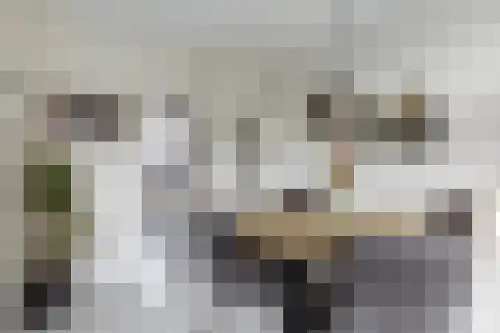Rietgansstraat 45 Strijen thumbnail 12