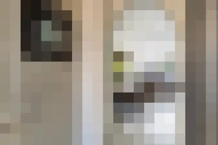 Rietgansstraat 45 Strijen thumbnail 13