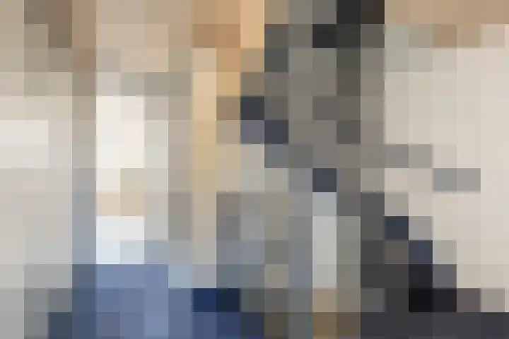 Rietgansstraat 45 Strijen thumbnail 16