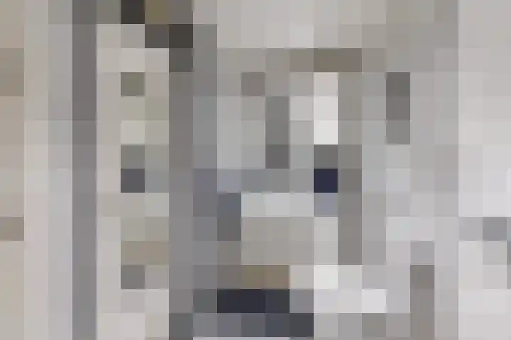 Rietgansstraat 45 Strijen thumbnail 23