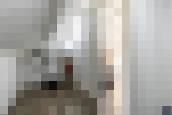 Rietgansstraat 45 Strijen thumbnail 24