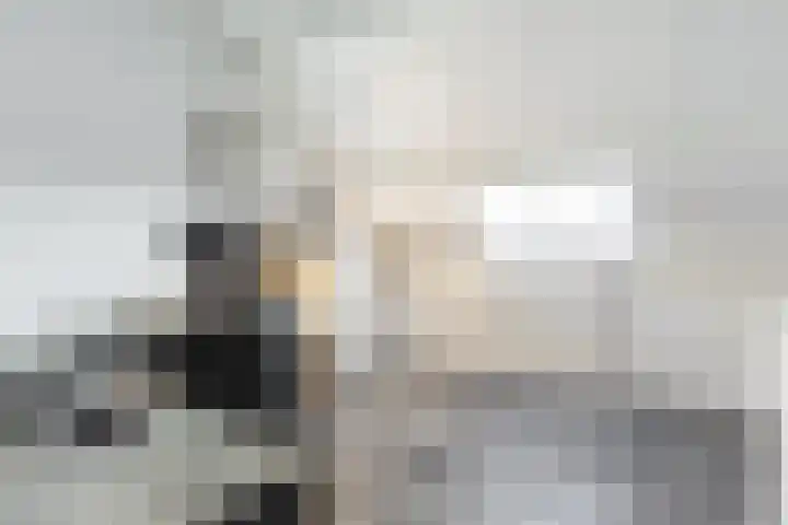 Rietgansstraat 45 Strijen thumbnail 26