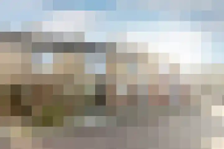 Rietgansstraat 45 Strijen thumbnail 27