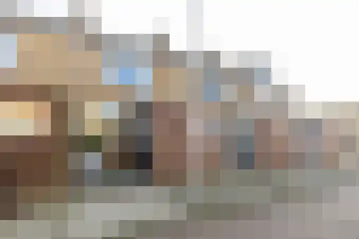 Rietgansstraat 45 Strijen thumbnail 28