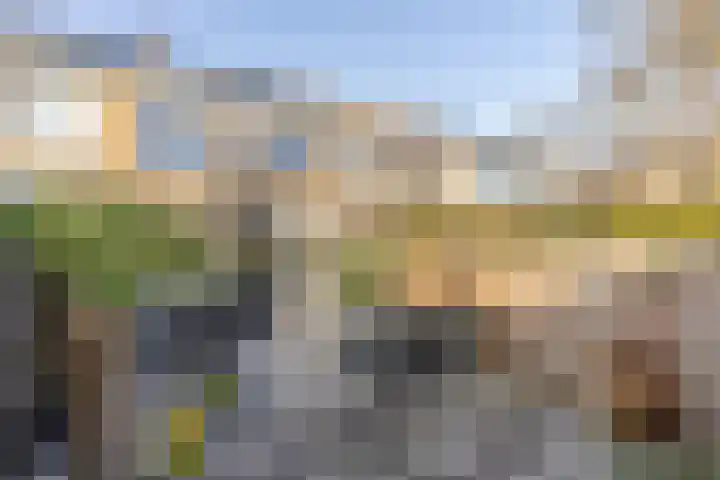 Rietgansstraat 45 Strijen thumbnail 30