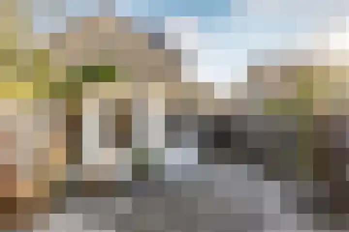 Rietgansstraat 45 Strijen thumbnail 33