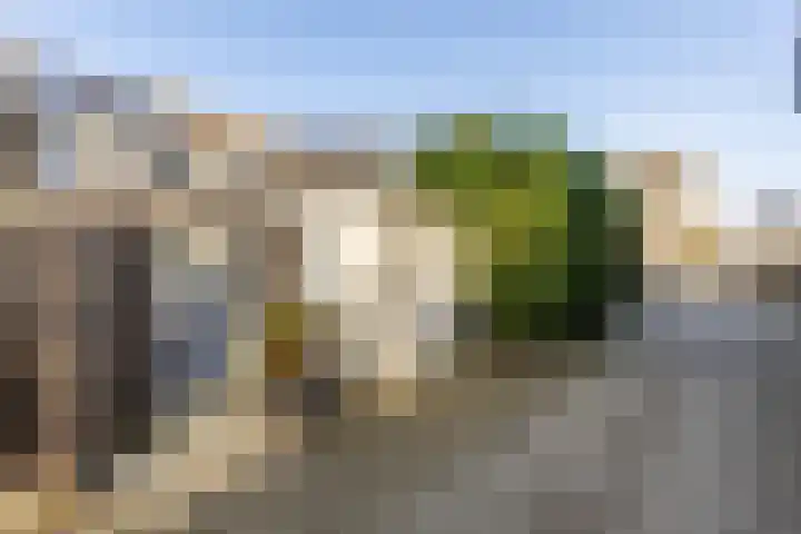 Rietgansstraat 45 Strijen thumbnail 34