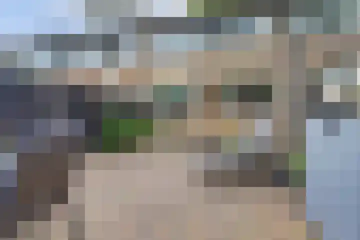 Rietgansstraat 55 Ermelo thumbnail 32