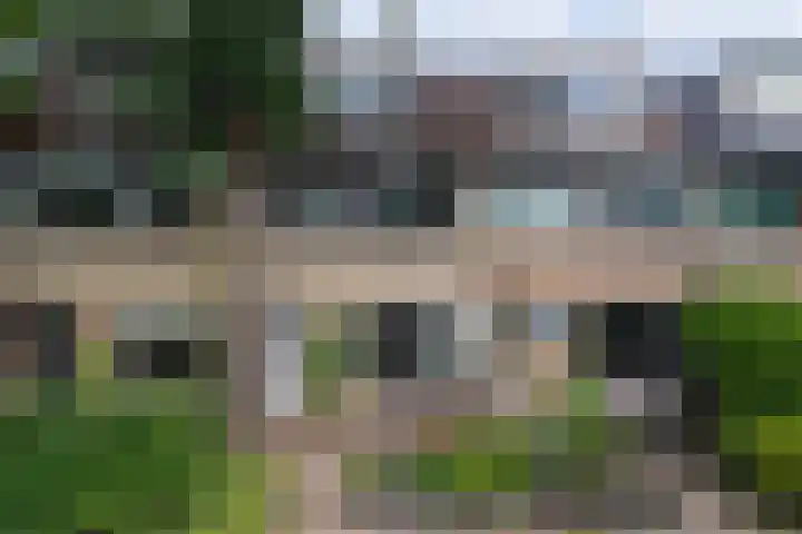 Rietgansstraat 55 Ermelo thumbnail 34