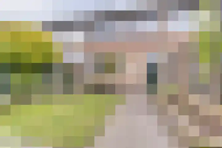 Rietgansstraat 59 Ermelo thumbnail 33