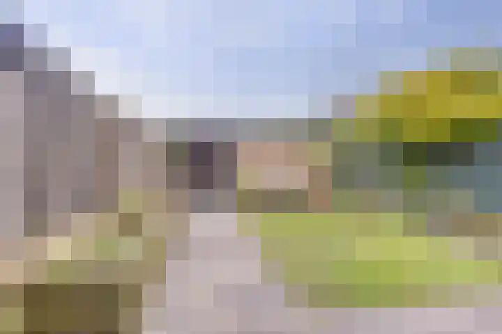 Rietgansstraat 59 Ermelo thumbnail 4