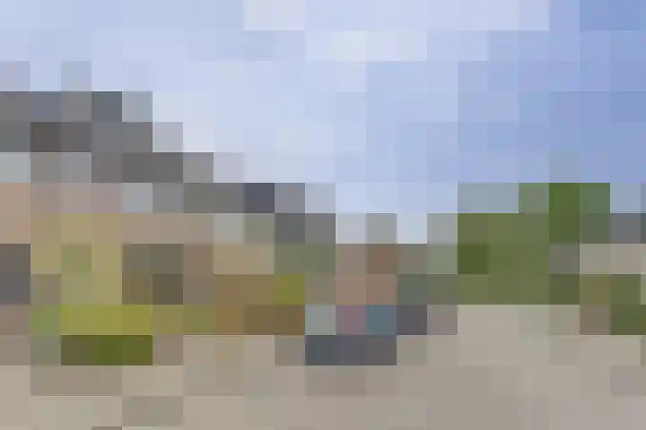 Rietgansstraat 59 Ermelo thumbnail 5