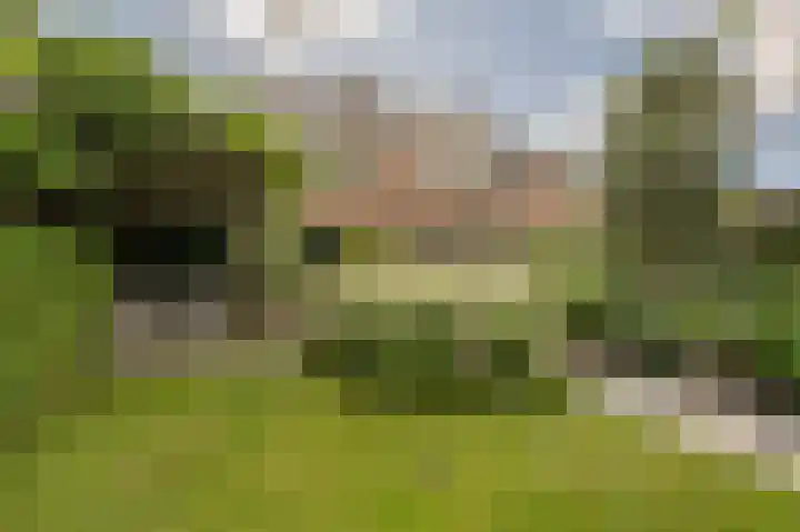 Rietgors 10 in Mijnsheerenland