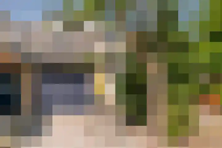 Rietgors 21 Leusden thumbnail 4