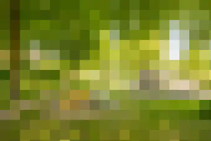 Rietgors 21 Leusden thumbnail 44