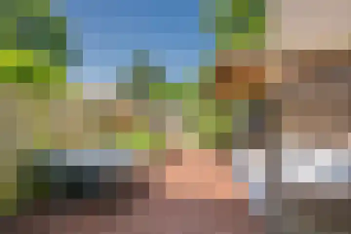 Rietgors 21 Leusden thumbnail 7