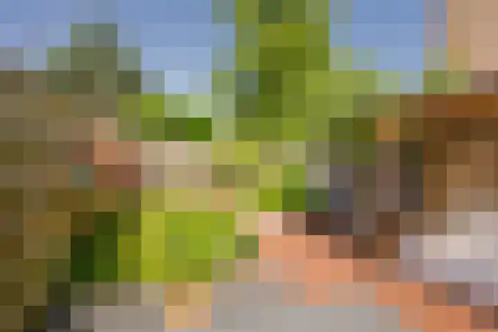 Rietgors 21 Leusden thumbnail 8