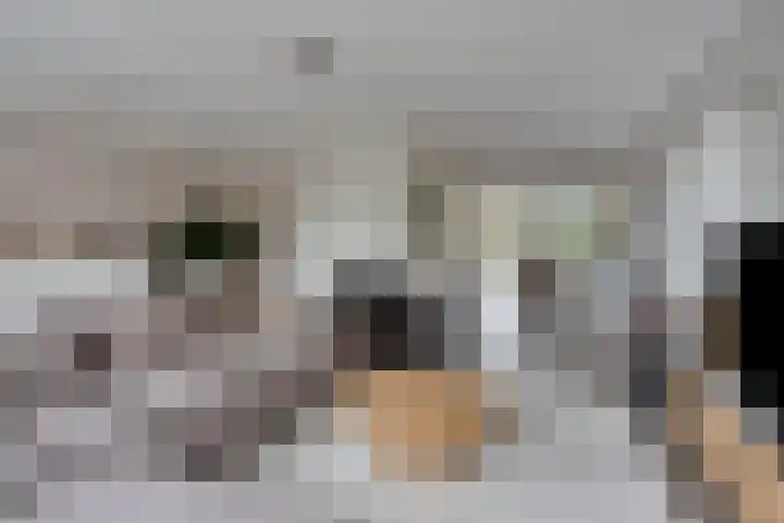 Rietgors 3 Rhenen thumbnail 10
