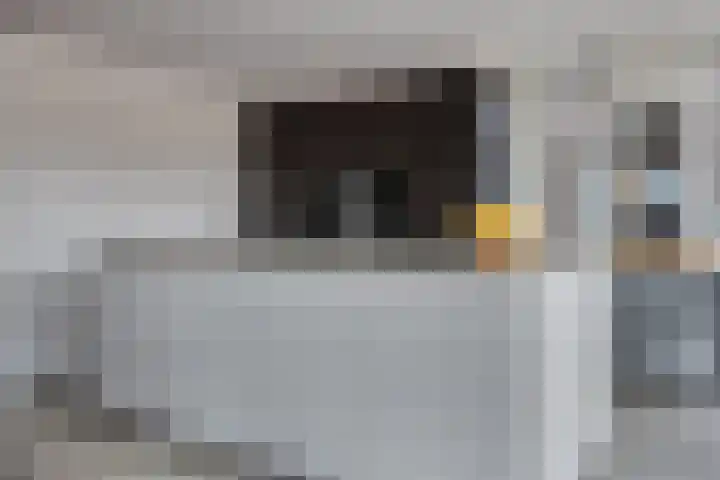 Rietgors 3 Rhenen thumbnail 14