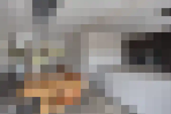 Rietgors 3 Rhenen thumbnail 15