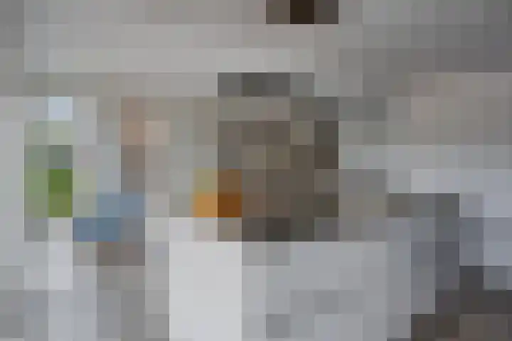 Rietgors 3 Rhenen thumbnail 16