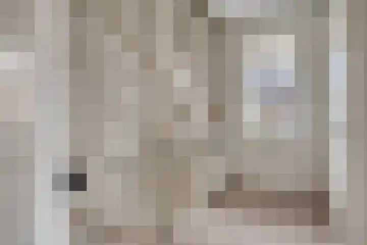Rietgors 3 Rhenen thumbnail 21