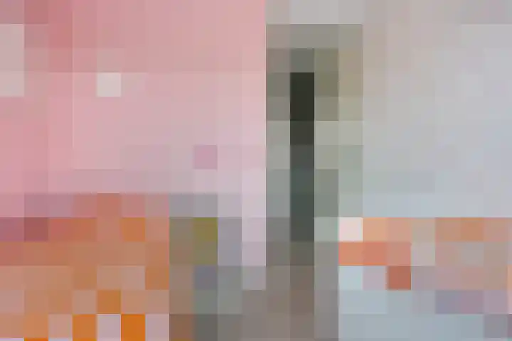 Rietgors 3 Rhenen thumbnail 31