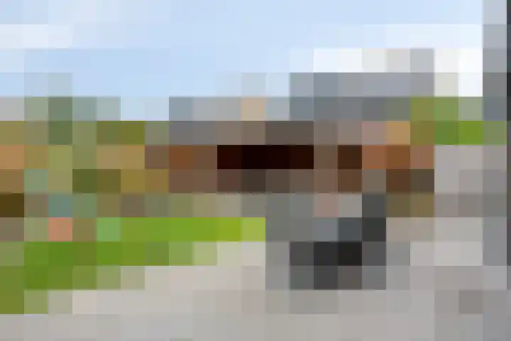 Rietgors 3 Rhenen thumbnail 4