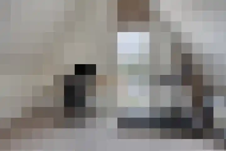 Rietgors 3 Rhenen thumbnail 40