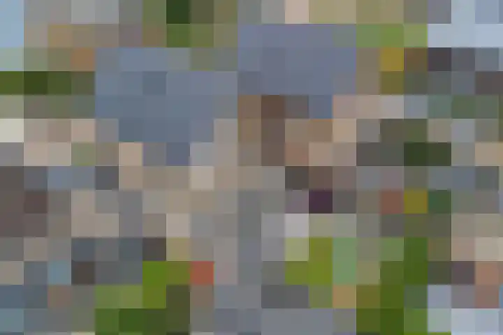 Rietgors 3 Rhenen thumbnail 46
