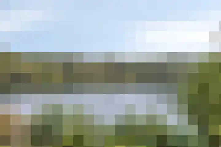 Rietgors 3 Rhenen thumbnail 48