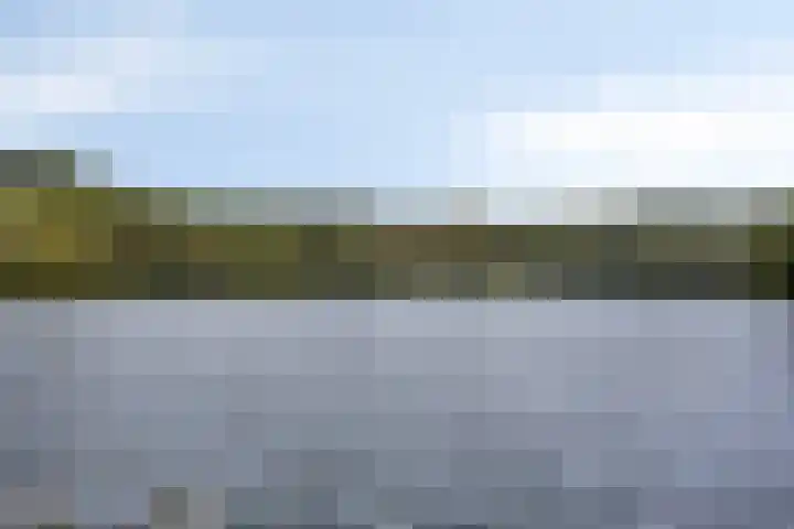 Rietgors 3 Rhenen thumbnail 49