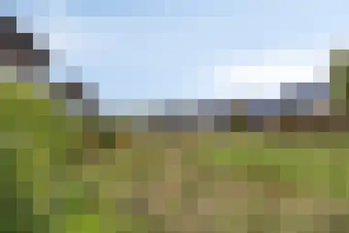 Rietgors 3 Rhenen thumbnail 51