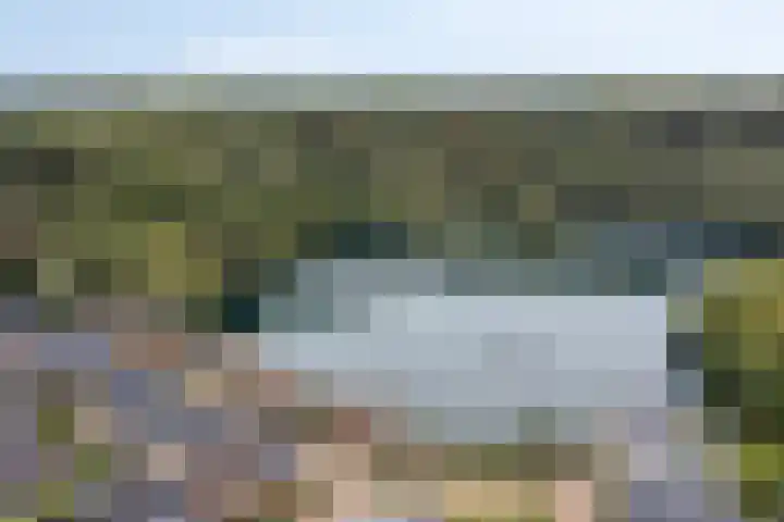 Rietgors 3 Rhenen thumbnail 58