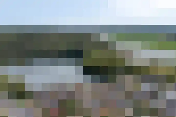 Rietgors 3 Rhenen thumbnail 59