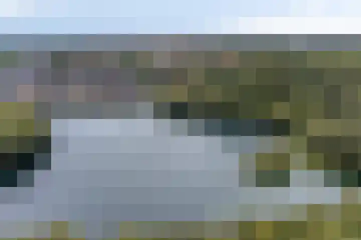 Rietgors 3 Rhenen thumbnail 60
