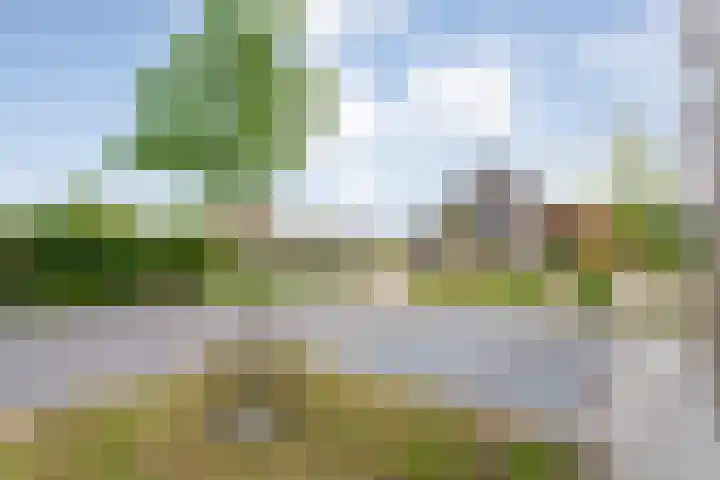 Rietgors 43 Olst thumbnail 10