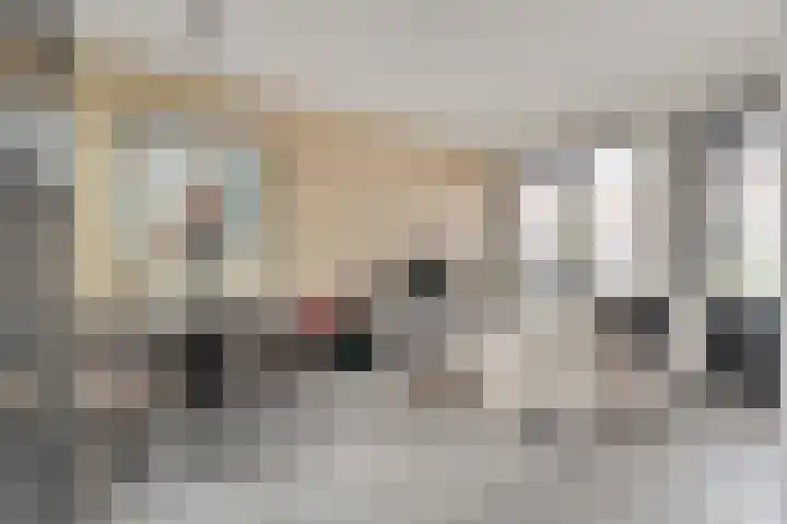 Rietgors 43 Olst thumbnail 13