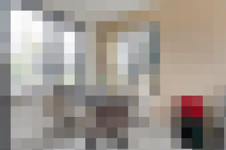 Rietgors 43 Olst thumbnail 14