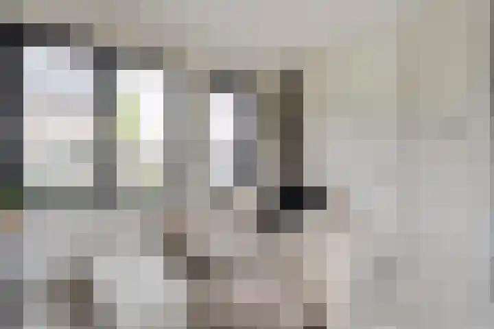 Rietgors 43 Olst thumbnail 15