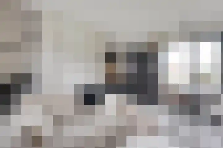 Rietgors 43 Olst thumbnail 16