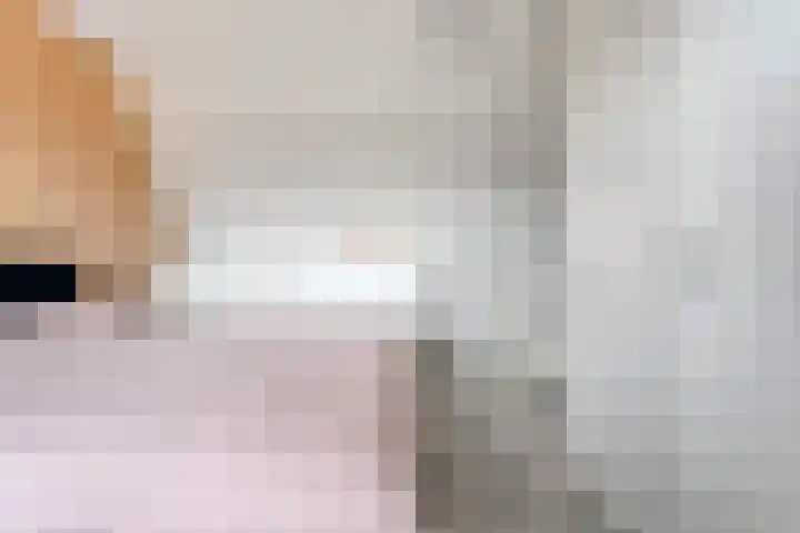 Rietgors 43 Olst thumbnail 19