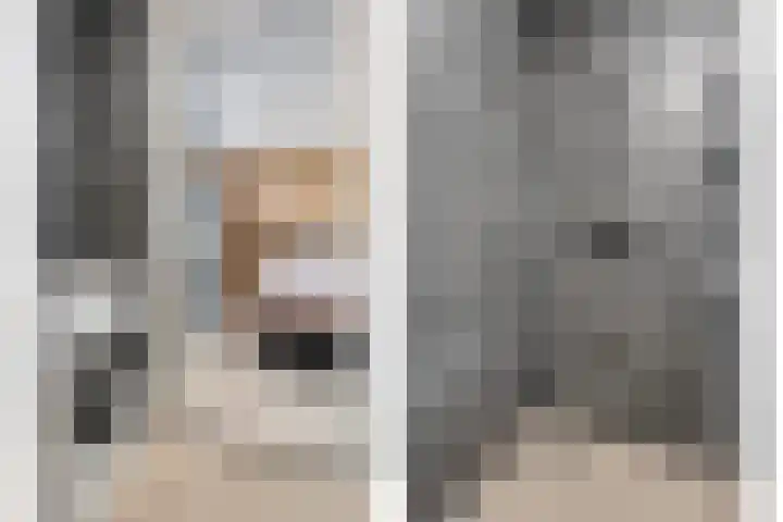 Rietgors 43 Olst thumbnail 21